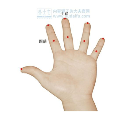 中医退热1.png